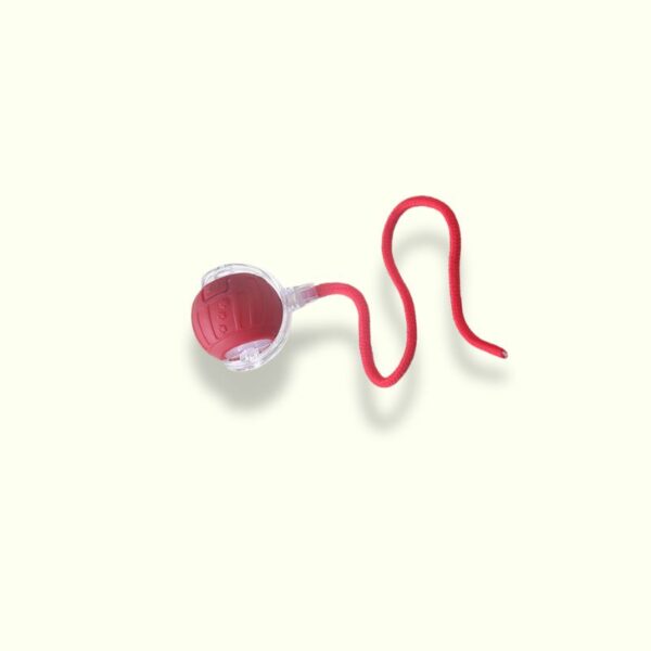 Cat Interactive Ball - Image 2