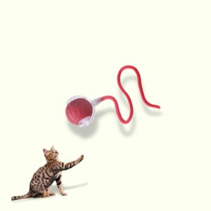 Cat Interactive Ball