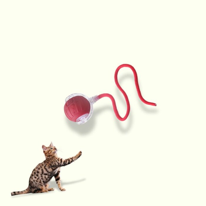 Cat Interactive Ball